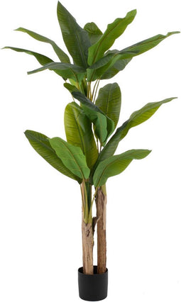 Decoratieve plant Polyethyleen Bananenplant 93 x 90 x 190 cm