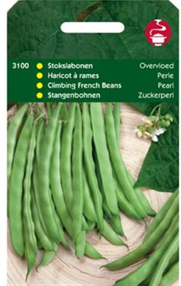 Stokslabonen Overvloed Type Rentegever