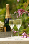 Stolzle Champagneflûte Ultra 19 cl - Transparant 6 stuk(s)