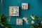 StoryTiles My Greenery