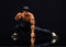STREET FIGHTER II FEI-LONG 6