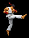 STREET FIGHTER II RYU 6