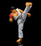 STREET FIGHTER II RYU 6