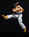 STREET FIGHTER II RYU 6