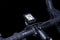 Stuurhouder iGPSPORT M80 Out-Front