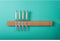 Style de Vie Magneetstrip - 50cm - Eikenhout