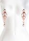 Nipple Clamps C3