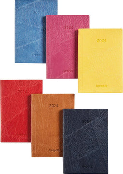 Brepols Delta Lucca, geassorteerde kleuren, 2025 6 stuks