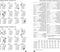 Succes Organizing Systems | Inhoud | Losbladig | Standard | 1 dag-1 pagina | 4-talig | 2025 (NL) |