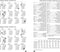 Succes Organizing Systems | Jaarinhoud | Losbladig | Standard | 7 dagen-2 pagina's | 4-talig | 2025