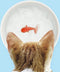 Suck Uk Drinkbak Katten 12,5 X 4,5 Cm Keramiek Wit/oranje