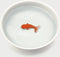 Suck Uk Drinkbak Katten 12,5 X 4,5 Cm Keramiek Wit/oranje