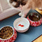 Suck Uk Drinkbak Katten 12,5 X 4,5 Cm Keramiek Wit/oranje