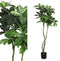 PTMD Watercacao Kunstplant - 63 x 60 x 145 cm - In Pot - Groen