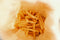 Suikerriet frietbakje A20 (A14+1) BIO | Inhoud: 600 stuks