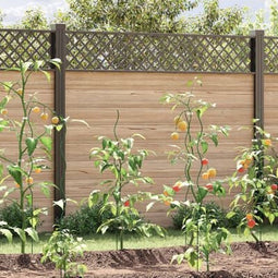 vidaXL - Plantensteunen - Spiralen - 20 - stuks - 110 - cm - van - Staal