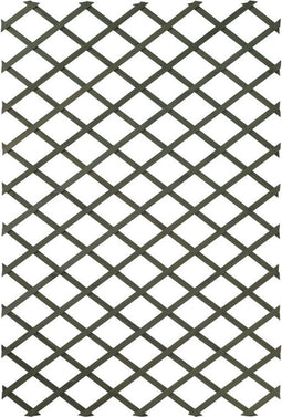 LuxeLivin' - Tuinlatwerken 2 st 100x200 cm hout groen