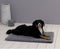 Sun Garden Malu Honden- en Kattenkleed 50x30x5 cm Grijs
