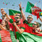 Sunfold Portugal Oprolbare Zonnebril
