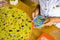 Nathan Mission animaux Bordspel Fine motor skill (dexterity)