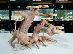 SuperFish - Bonsai Planter Medium aquaria