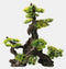 Superfish Deco Bonsai XL