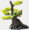 Superfish Deco Bonsai XS - OPRUIMING