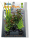 Superfish Deco Plant S Rotala - OPRUIMING
