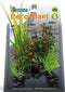 Superfish Deco Plant S Rotala - OPRUIMING