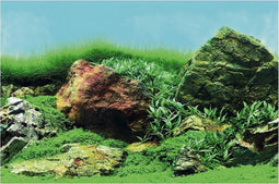 Superfish Deco Poster - Aquarium - Ornament - 100X49 cm Aquascape Plant