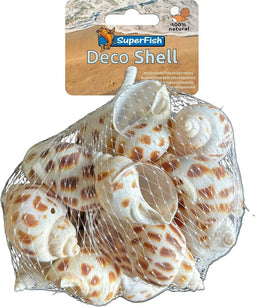 Superfish Decoratie schelpen Bruin Wit - Slakkenhuizen