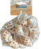Superfish Decoratie schelpen Bruin Wit - Slakkenhuizen