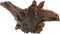 Superfish Driftwood - Aquariumdecoratie - Medium - 30 tot 36 cm