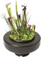 Superfish drijvende plantenmand XL Ø 30 cm