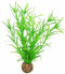 Superfish easy plants middel nr. 3, van plastic 20 cm - 1 ST