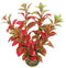 Superfish easy plants voorgrond nr. 7, van plastic 13 cm - 1 ST