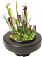 SuperFish - Floating Plant Basket diameter 22 Cm vijver