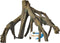 SuperFish Mangrove Wortel - Aquariumdecoratie - S - 35 x 16 x 22 cm