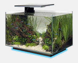 Superfish Quadro 40 Multi Colour - Aquaria - Zwart Led Voet