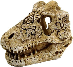 Superfish Skull T Rex