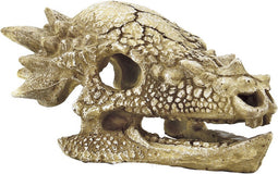 Superfish Skull T Rex