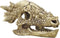 Superfish Skull T Rex
