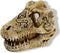 Superfish Skull T Rex