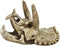Superfish Skull Triceratops