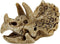 Superfish Skull Triceratops