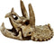 Superfish Skull Triceratops
