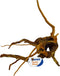 Superfish Spiderwood Bruin - Aquarium - Ornament - Large