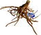 Superfish Spiderwood Bruin - Aquarium - Ornament - Large