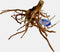 Superfish Spiderwood Bruin - Aquarium - Ornament - Xlarge