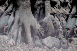 SuperFish - Superfish deco poster d2 60x49 cm